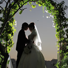 bali commitment wedding agency