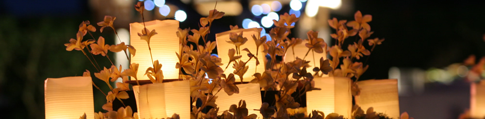 bali packages wedding agency