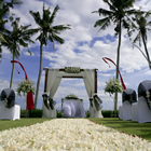 bali wedding beach agency