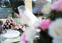 civil bali wedding agency